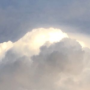 Meet your Posher, Benjamin